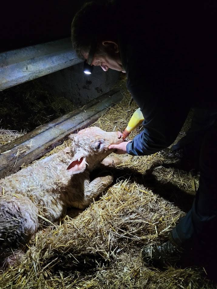 Visite-a-la-ferme-de-la-guyonniere_18