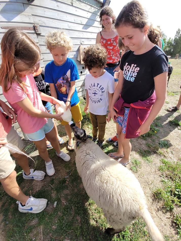 Visite-a-la-ferme-de-la-guyonniere_70