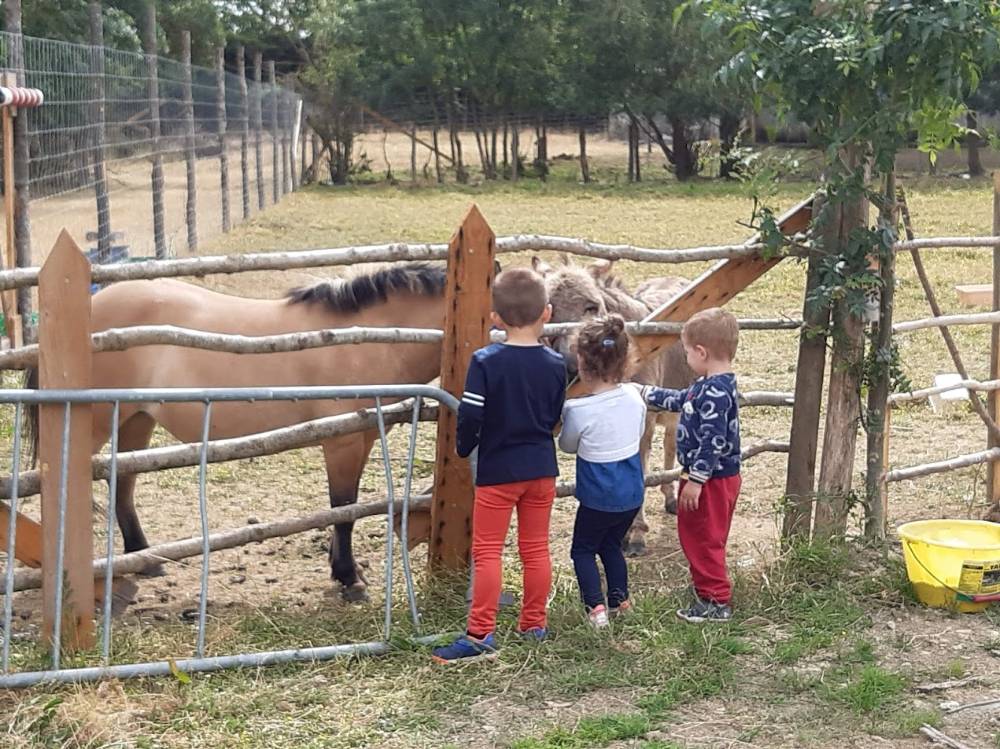 Visite-a-la-ferme-de-la-guyonniere_94