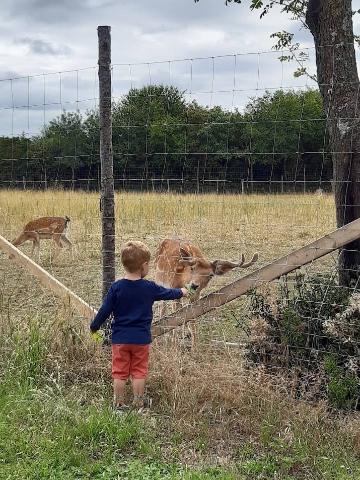 Visite-a-la-ferme-de-la-guyonniere_96